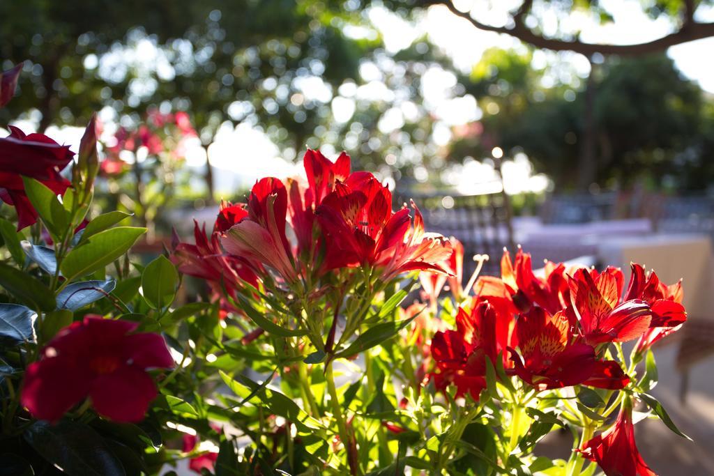 Hotel Villa Barbat Barbat na Rabu Buitenkant foto